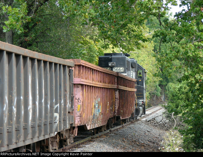 NS 5664